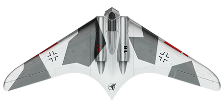 HORTEN 229